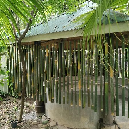 La Vida Hostel Samal Island Екстериор снимка